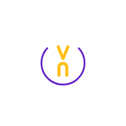 Logo Vanessa Novais